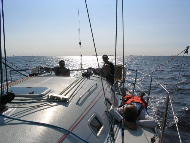 SV200549_1.JPG.jpg